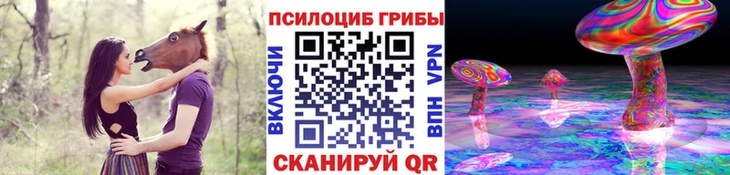 Галлюциногенные грибы Psilocybine cubensis  купить наркотик  блэк спрут ссылки  Березники 