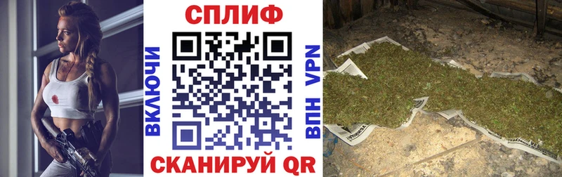 ОМГ ОМГ зеркало  купить  цена  Березники  Бошки марихуана VHQ 